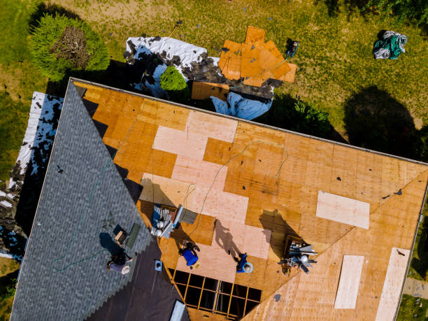 Best Roof Maintenance Services  in Glen Allen, VA